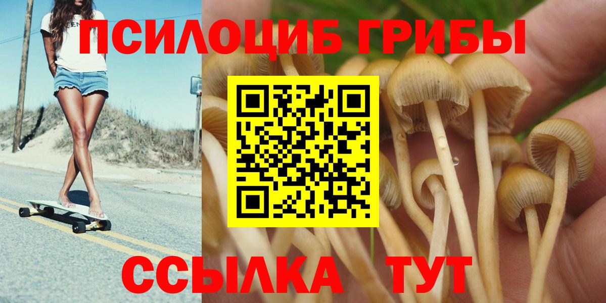 Галлюциногенные грибы Psilocybe Сочи