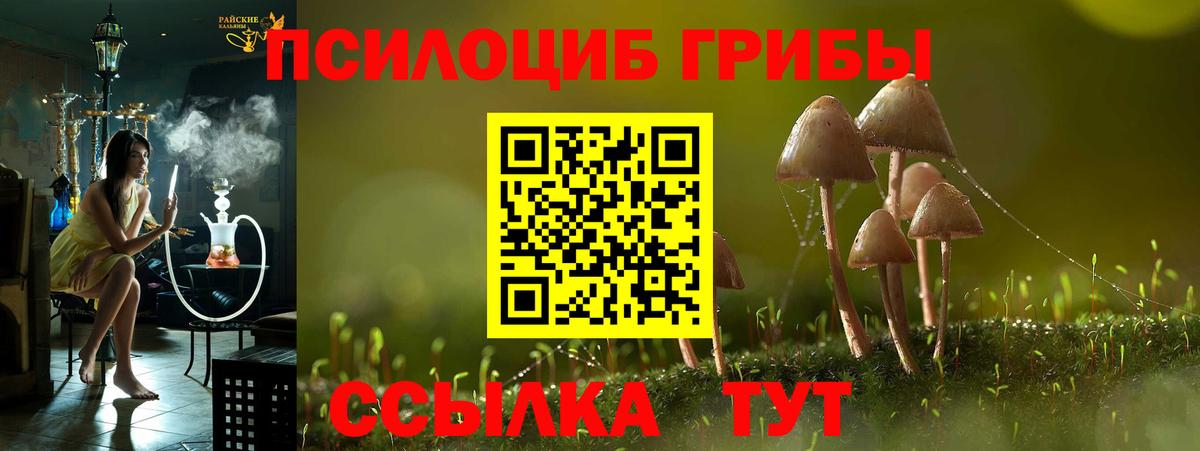 Галлюциногенные грибы MAGIC MUSHROOMS  Галлюциногенные грибы MAGIC MUSHROOMS  Сочи  Вход с VPN 